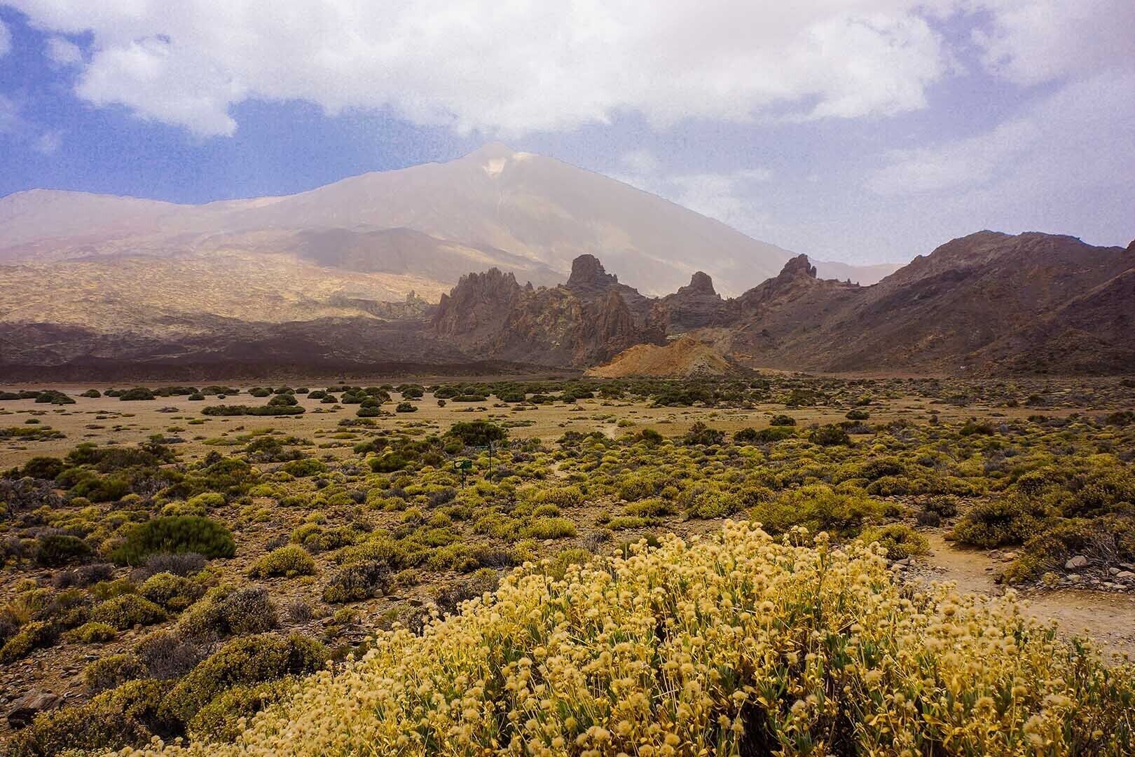 Wüstenlandschaft mit karger Vegetation und felsigem Gelände.