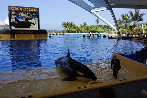 Lovely 2 bedroom apartments with sea view, air conditioning and  Wi-Fi 