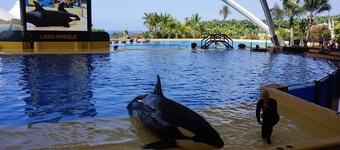 Lovely 2 bedroom apartments with sea view, air conditioning and  Wi-Fi 