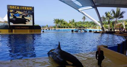 Lovely 2 bedroom apartments with sea view, air conditioning and Wi-Fi