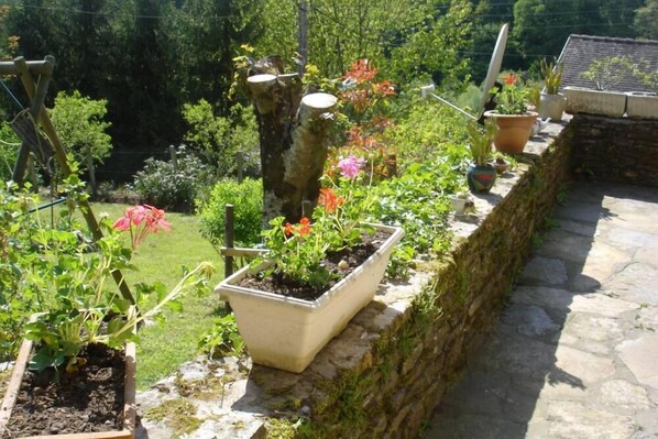 Un jardín con plantas en macetas y un muro de piedra.