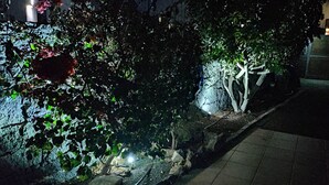 Ein Außenbereich bei Nacht mit einer Steinmauer, einem Baum und einem gepflasterten Weg.