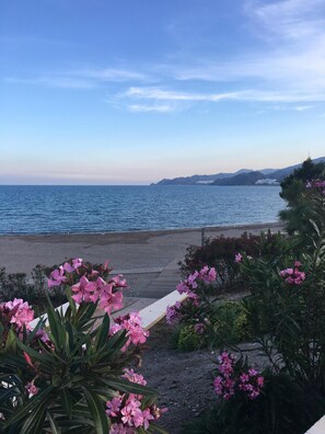 Uitzicht op de kust met een strand, een houten looppad en roze bloemen op de voorgrond.