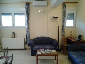 TV, books, music library, stereo