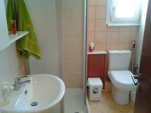 Une salle de bain équipée d’un lavabo, de toilettes et d’une douche.