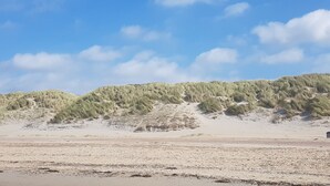 Une plage avec des dunes de sable et une végétation clairsemée.