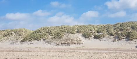 A beach with sand dunes and sparse vegetation.