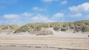 Beach nearby, sun loungers