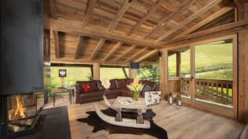 TV, fireplace, video games, DVD player