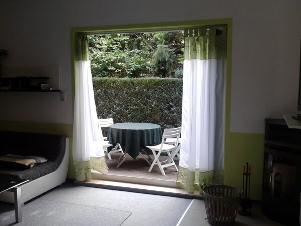TV, fireplace, DVD player, books