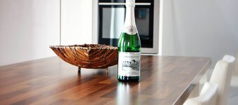 Nice, large and bright apartment in Ankerstrasse 10 