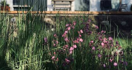 Modern, große Terrasse, Garten und viel Sonne.