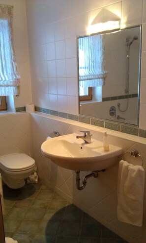 Combined shower/tub, hair dryer, towels, soap