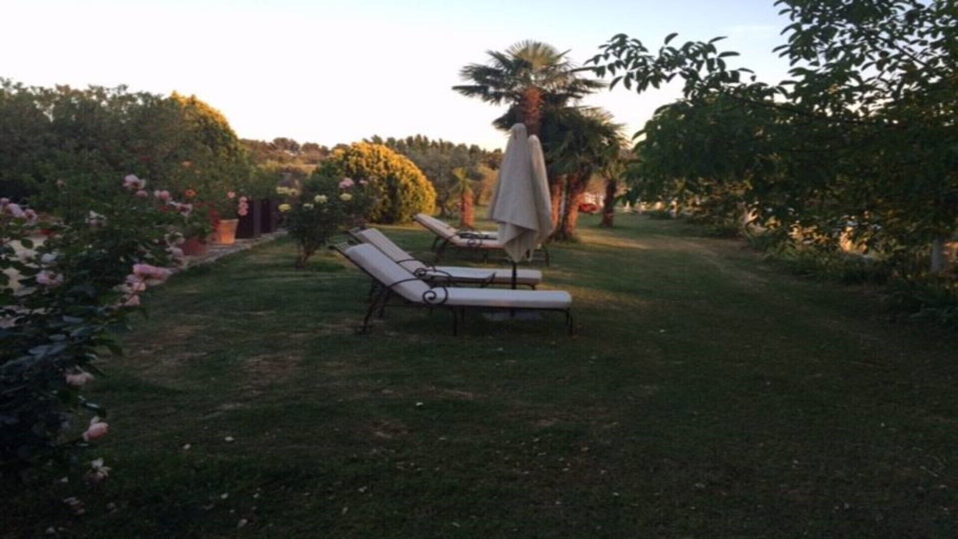 A garden with two lounge chairs and a table, surrounded by various plants and trees.