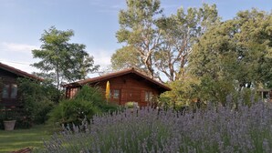 A wooden cabin with a garden in front, surrounded by trees.