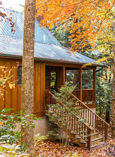 Cozy Mountain Top Cabin 13 Acres Near Dupont State Forest-Pet Friendly-Wifi- EV 