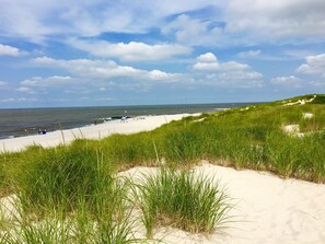 ビーチの近く、サンラウンジャー