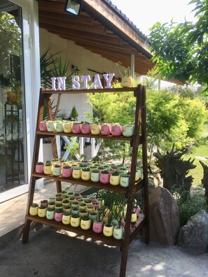 Gift shop - Instay (Puli)