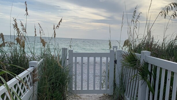A sandy pathway leading to a beach with a white fence and tall grasses.