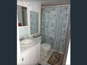 Ensemble douche/baignoire, sèche-cheveux, serviettes fournies