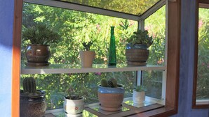 A window with shelves holding various potted plants.