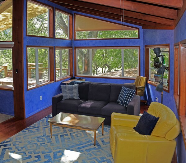 Smart TV, chimenea, videojuegos y reproductor de DVD 