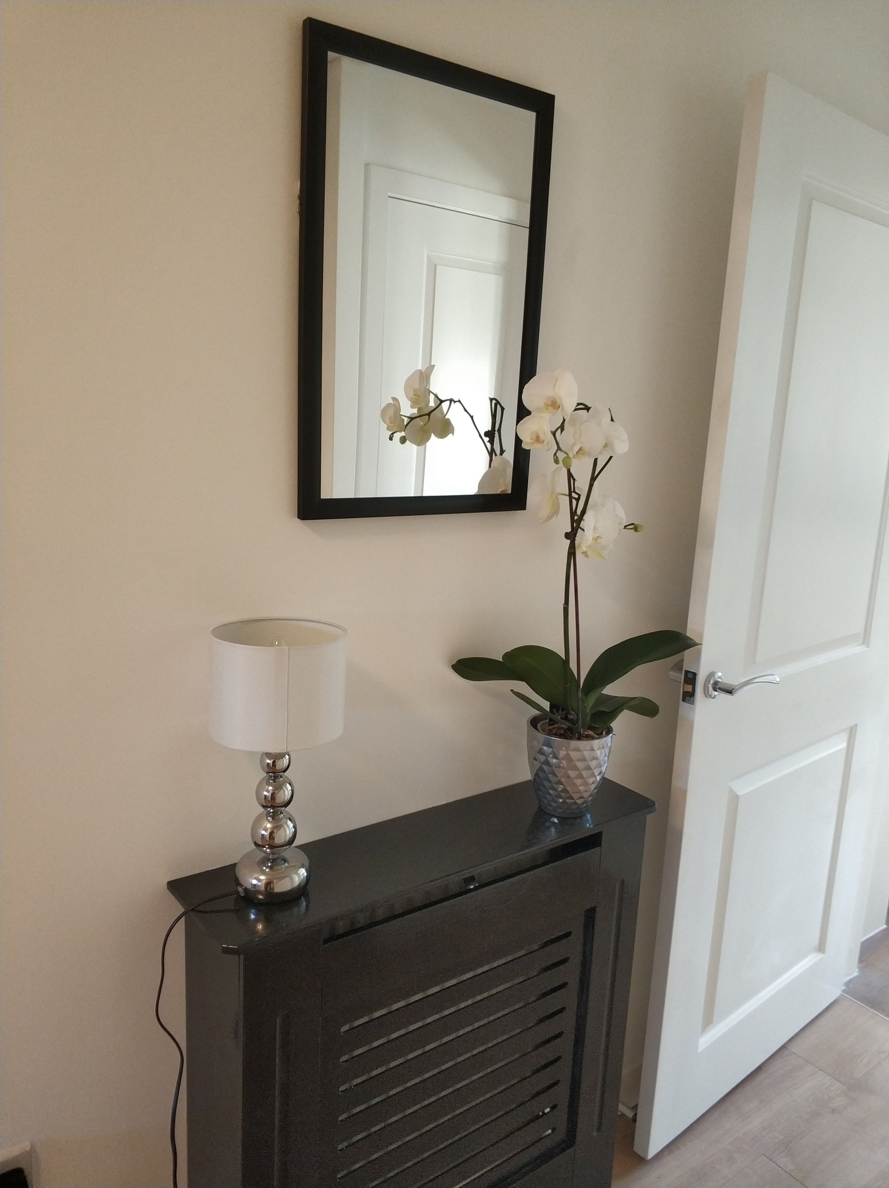 A hallway with a dark-colored console table, a white lamp, a potted plant, and a mirror on the wall.