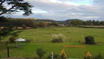 Suite de luna de miel, 1 cama Queen size, para no fumadores, vista al jardín | Muebles diferentes, escritorio y tabla de planchar con plancha