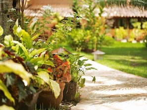 Property grounds - Vila Monjuá (Porto Seguro)