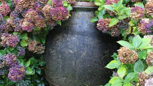 Una gran jardinera de piedra rodeada de exuberante follaje e hidrangeas.