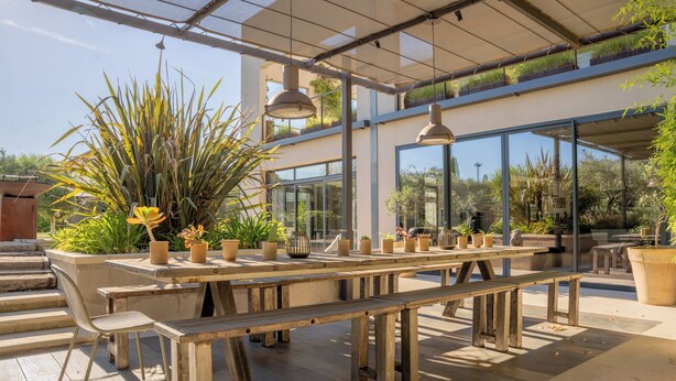 Une terrasse extérieure avec des bancs et des tables en bois, entourée de plantes en pot et d’un bâtiment à vitres.