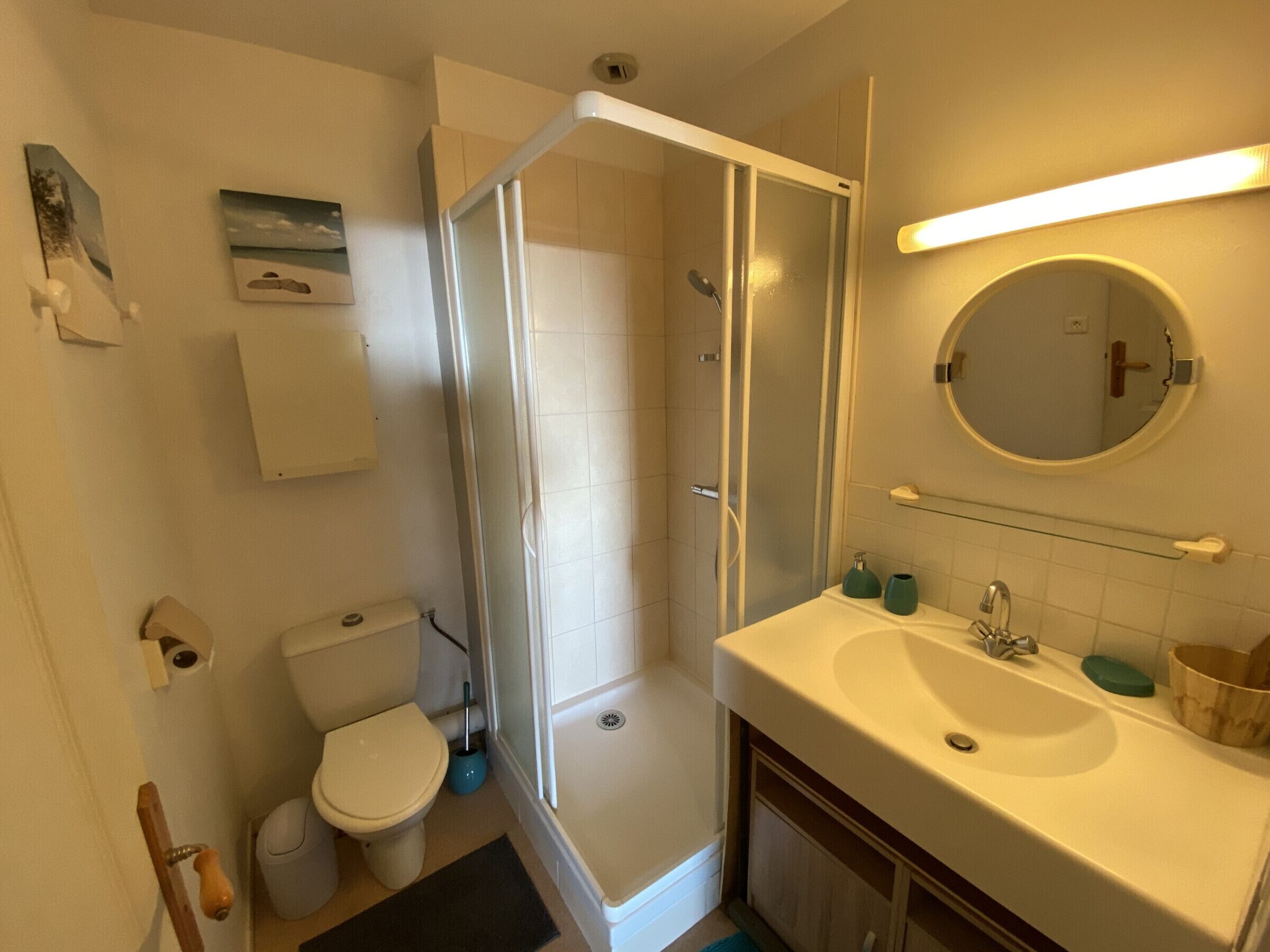 A bathroom with a toilet, a shower enclosure, a sink with a mirror, and a towel rack.
