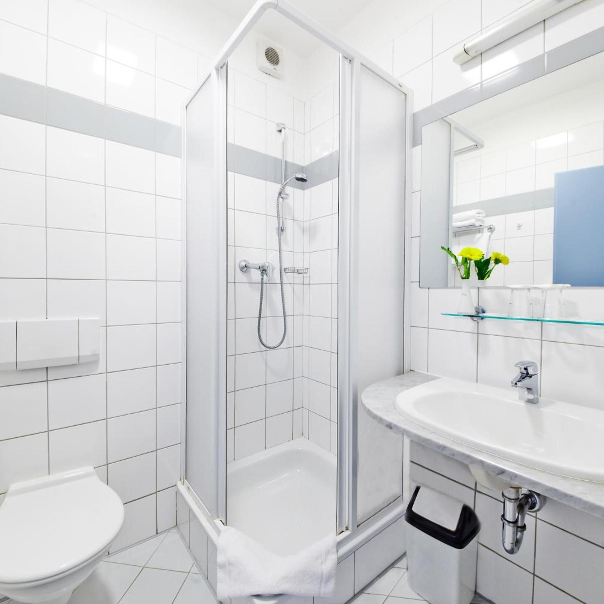 A modern bathroom with a glass-enclosed shower, a white toilet, and a sink with a mirror above it.