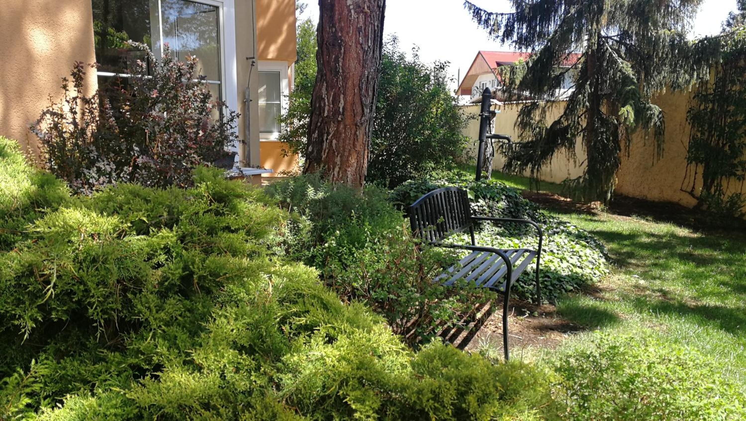 المنطقة المحيطة بالمنشأة