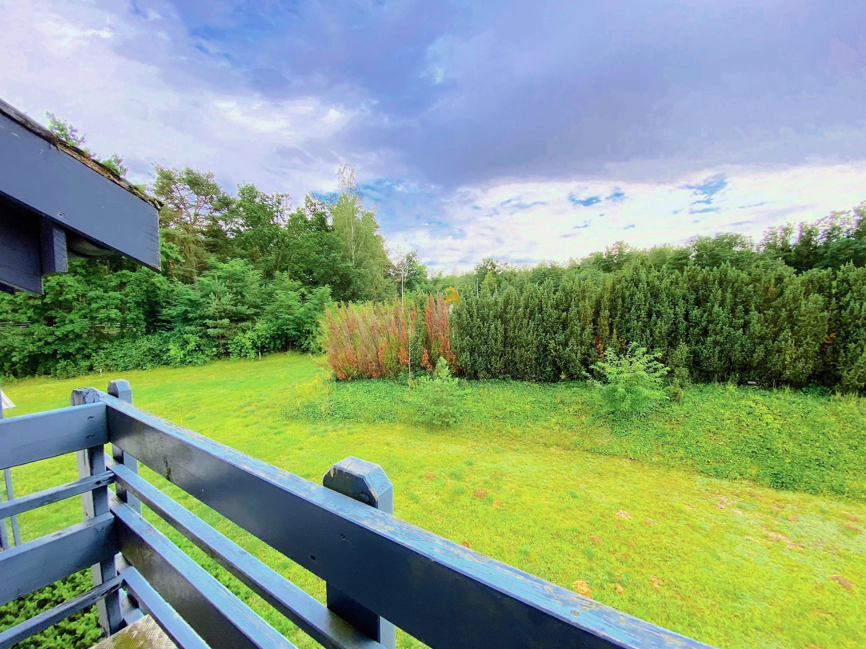 A grassy outdoor area with a wooden fence, dense shrubbery, and a variety of trees.
