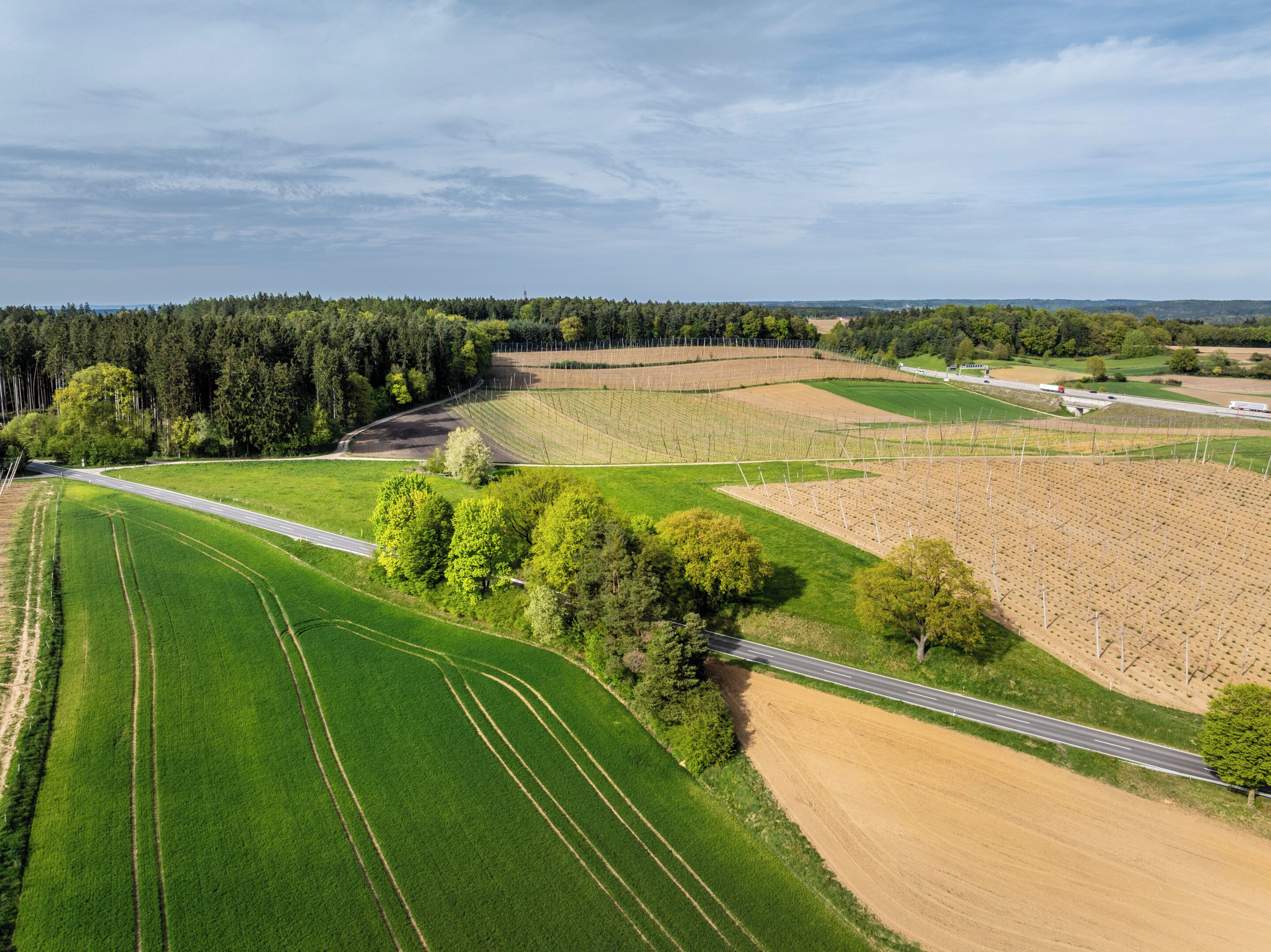 An aerial view of a rural landscape with fields, a road, and a forest.