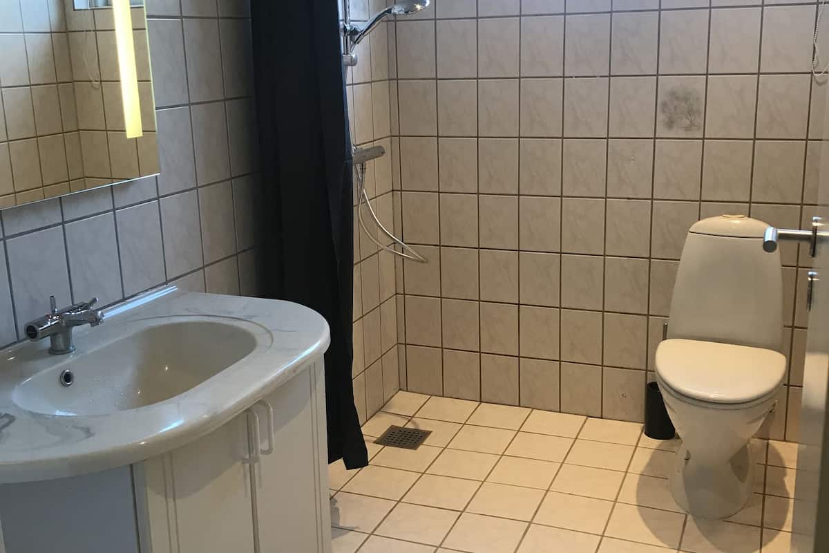apartment, non smoking, partial lake view (anneks 1) | bathroom | shower, free toiletries, hair dryer, towels