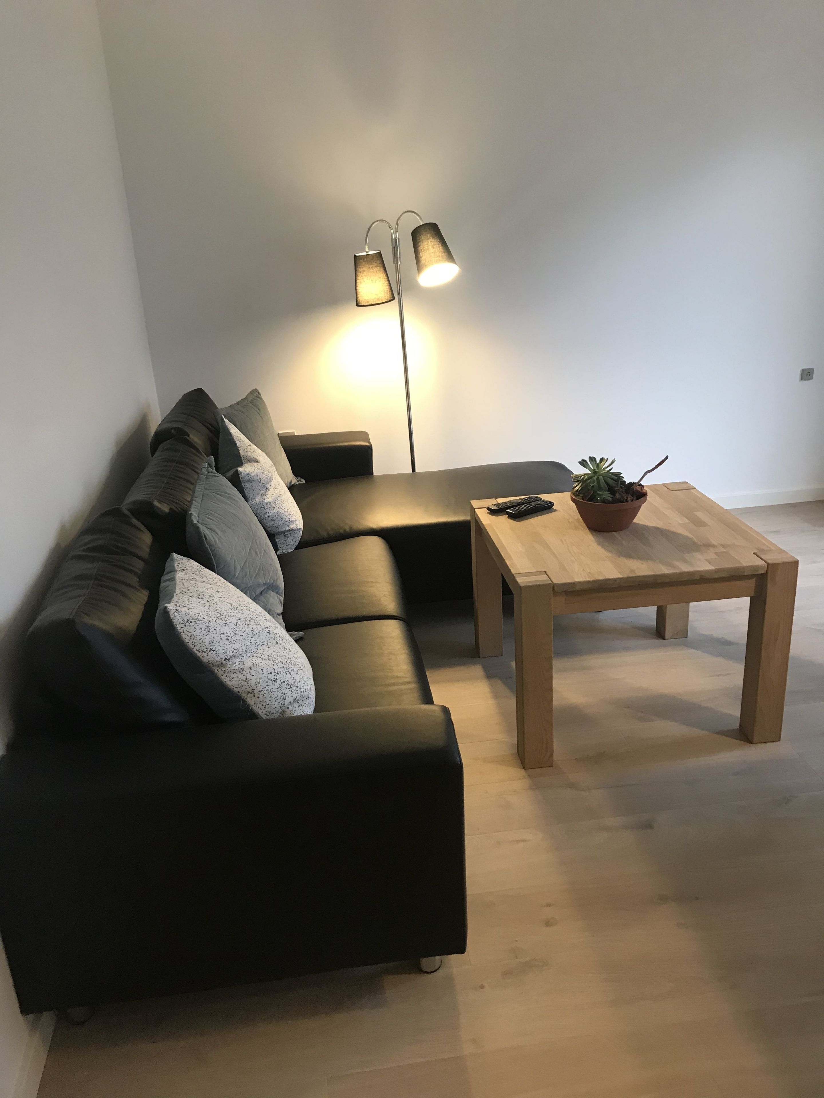 apartment, non smoking, partial lake view (anneks 1) | living area | tv