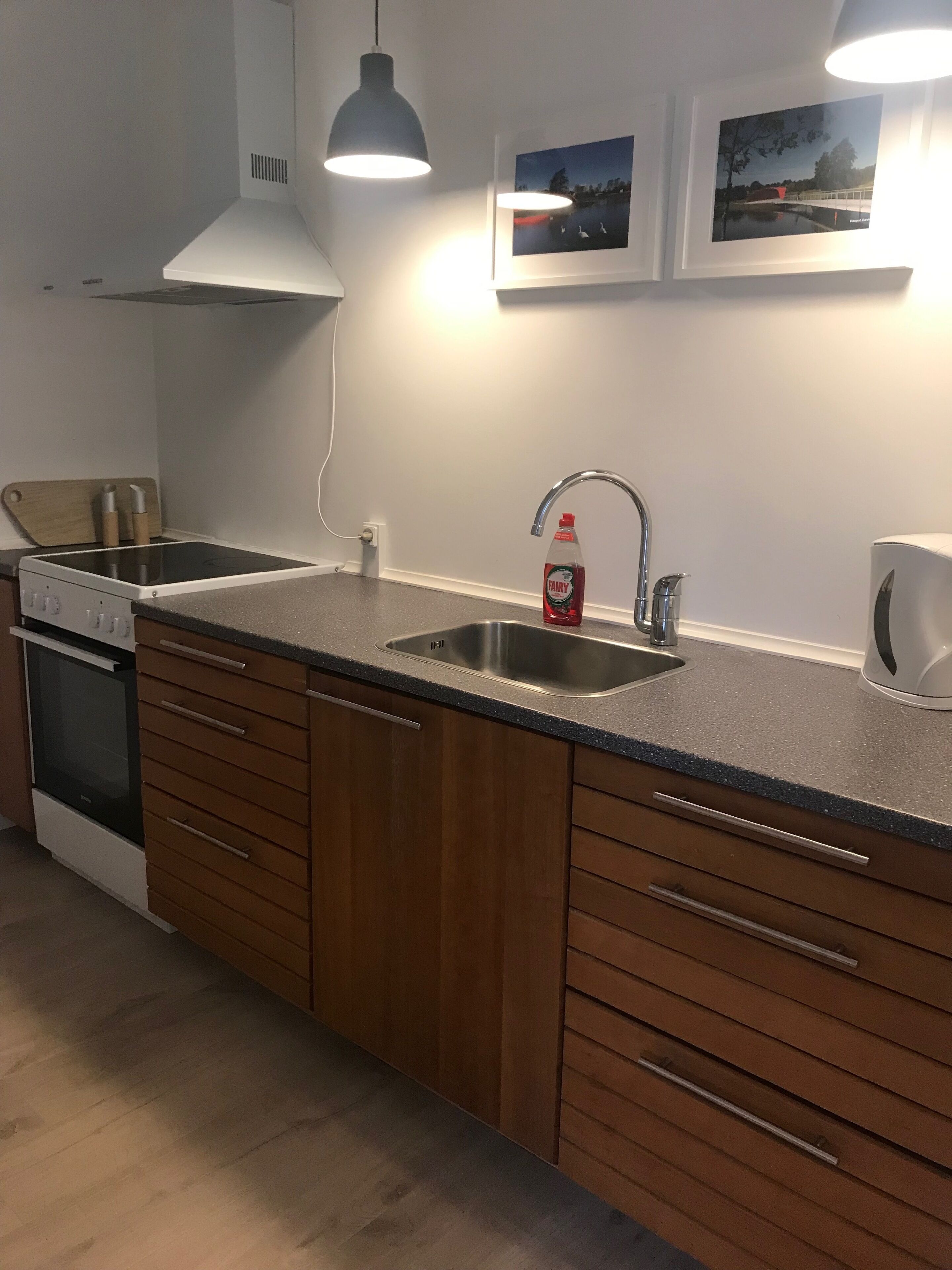 apartment, non smoking, partial lake view (anneks 1) | private kitchen | full-sized fridge, oven, stovetop, coffee/tea maker