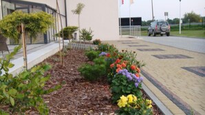 A landscaped garden with various plants and flowers, a paved walkway, and a building with a white facade and a blue roof. - Gosciniec Europejski (Miedziana Góra)