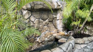 Eine natürliche Felsformation mit Wasserspiel, umgeben von üppiger Vegetation.