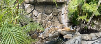 MI Oasis Getaway! Bara 200 steg till stranden pÄ en mycket lugn gata