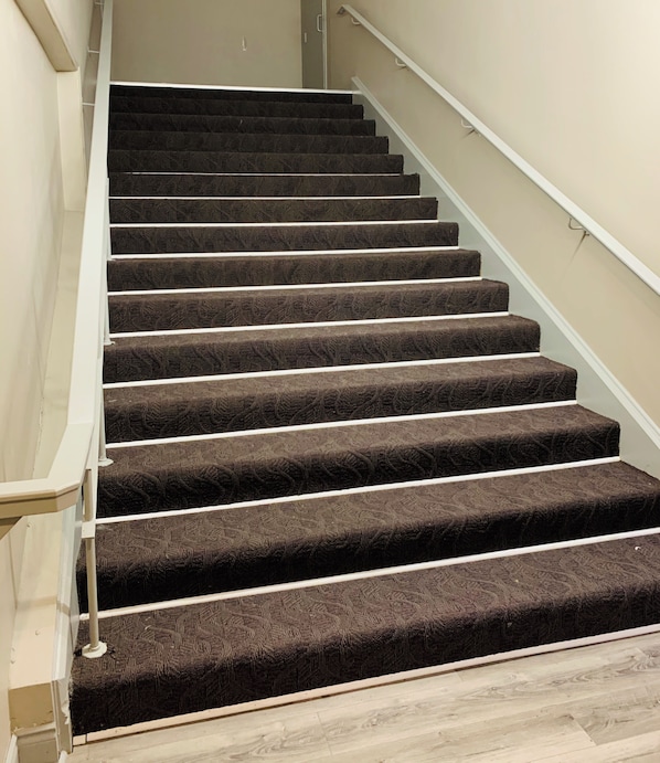 A carpeted staircase with a handrail and a light-colored wall.