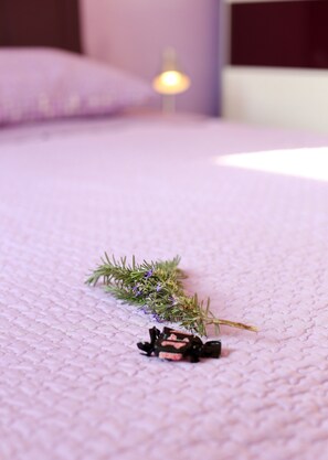 1 camera, ferro/asse da stiro, Wi-Fi gratuito, lenzuola