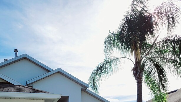 A residential house with a garage, a front door, a window with bars, a small garden with a palm tree, and a bicycle. - Newly Updated Spacious 3 Bedroom Home With Pool, - near Disney (Davenport)