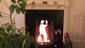 Ein Kamin mit Feuer, ein Sims mit Dekorationen und eine Zimmerpflanze auf der linken Seite.