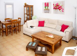 TV, DVD player, books, video library