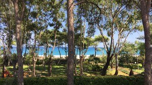 Ein üppiger Garten mit alten Bäumen und Blick auf das Meer.