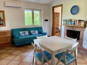 Smart TV, fireplace, books