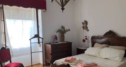 My Mother`s House BELMONTE